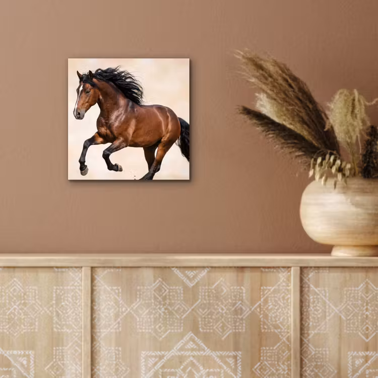 Aluminium schilderij - Paard - Galop - Energie — 5