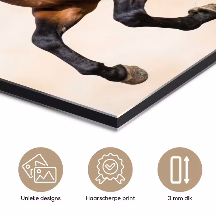 Aluminium schilderij - Paard - Galop - Energie — 7