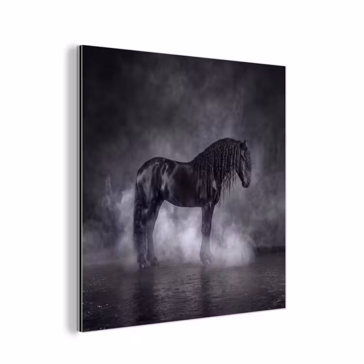 Aluminium schilderij - Paard - Magisch - Zwart — 1