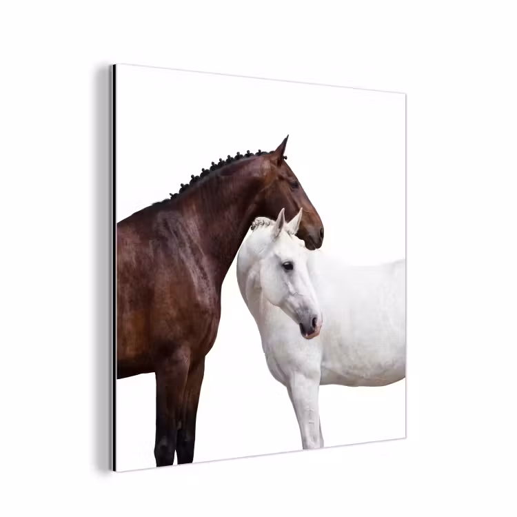 Aluminium schilderij - Paard - Modern - Balans — 1