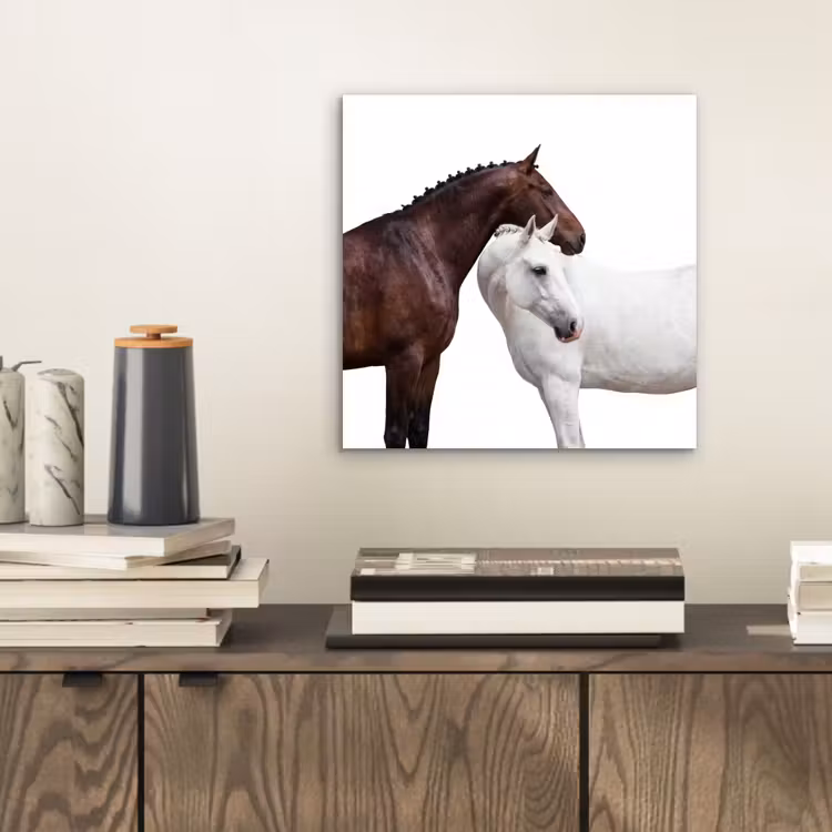 Aluminium schilderij - Paard - Modern - Balans — 2