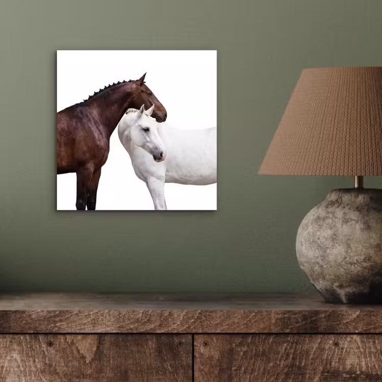 Aluminium schilderij - Paard - Modern - Balans — 3