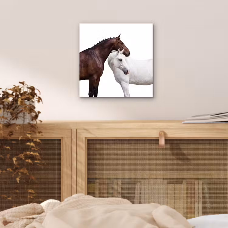 Aluminium schilderij - Paard - Modern - Balans — 4