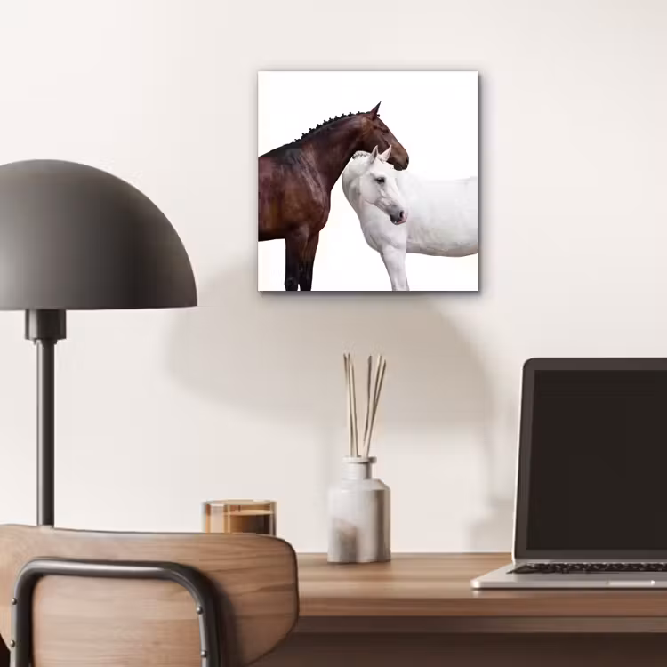 Aluminium schilderij - Paard - Modern - Balans — 6