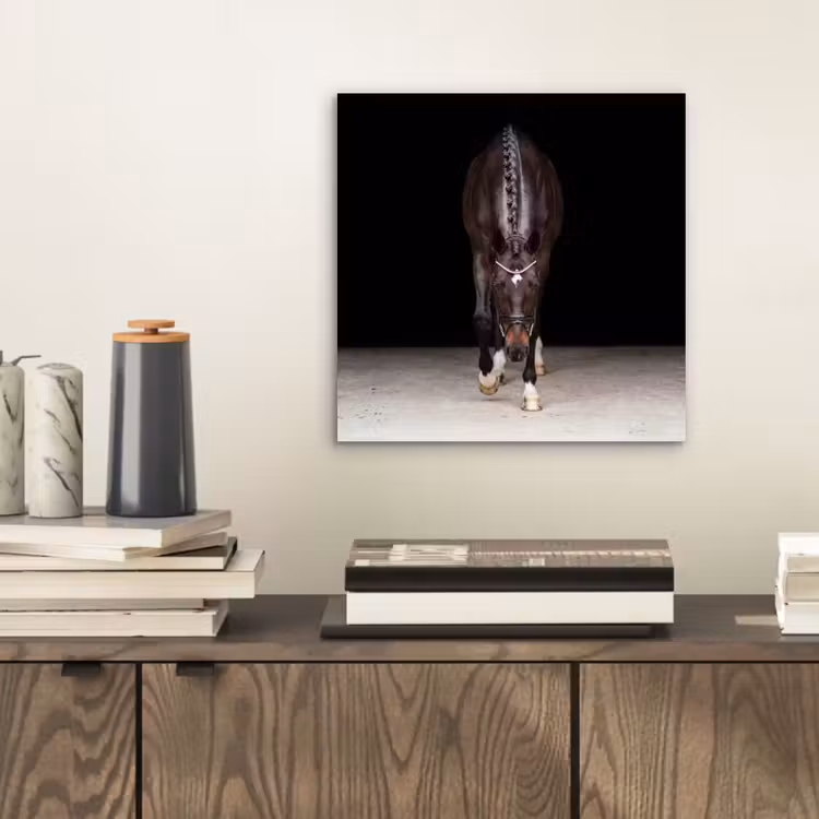 Aluminium schilderij - Paard - Modern - Portret — 2