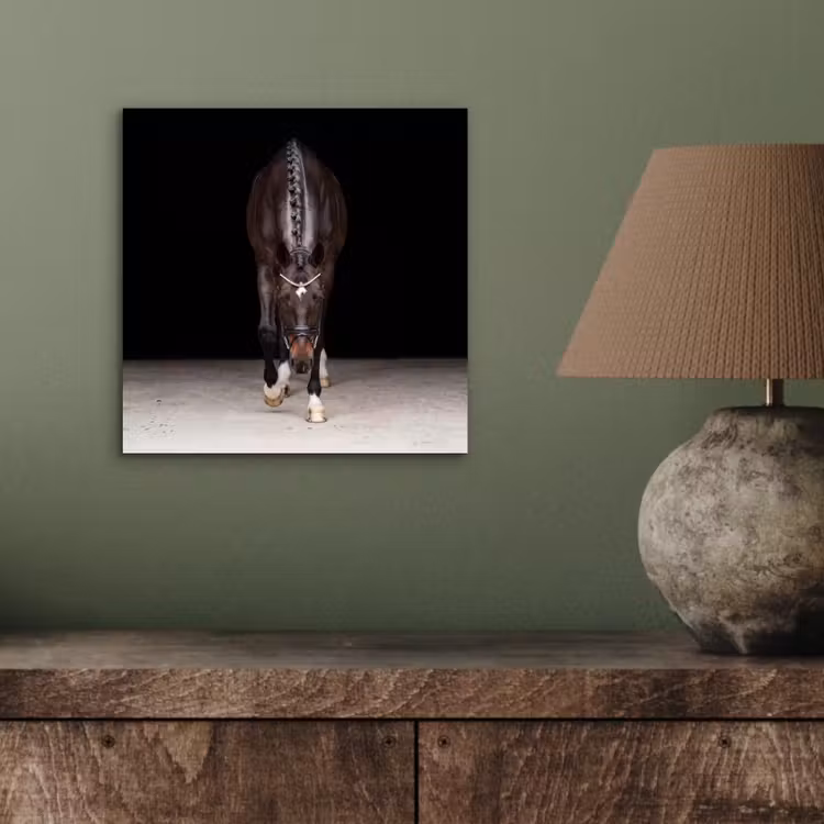 Aluminium schilderij - Paard - Modern - Portret — 3