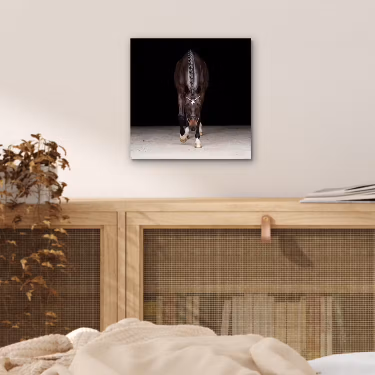 Aluminium schilderij - Paard - Modern - Portret — 4