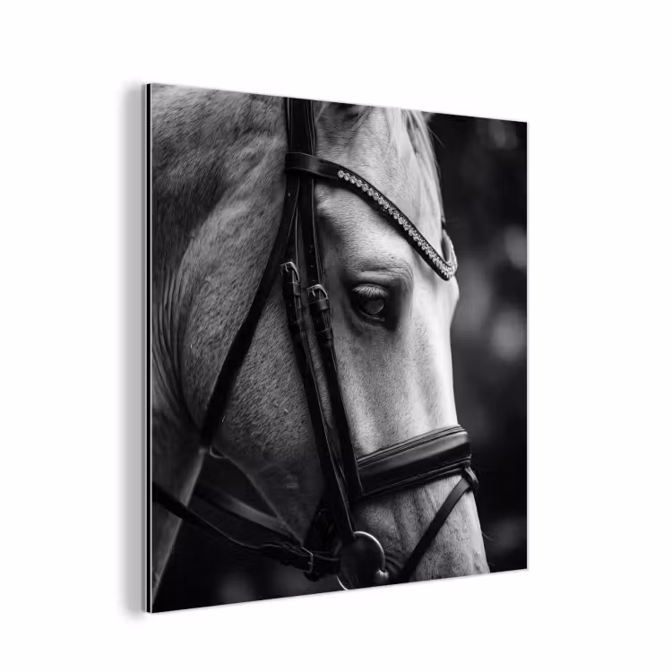Aluminium schilderij - Paard - Schimmel - Portret — 1