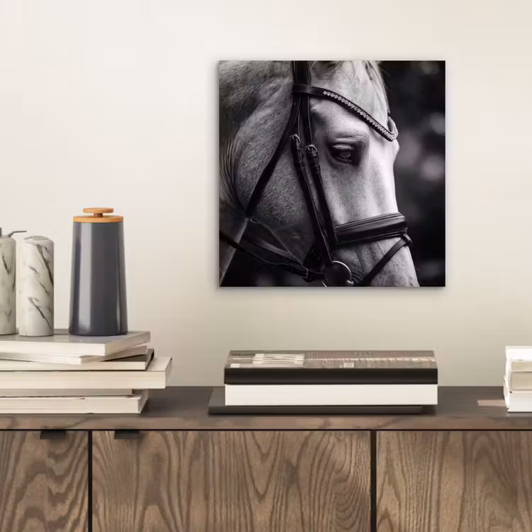 Aluminium schilderij - Paard - Schimmel - Portret — 2
