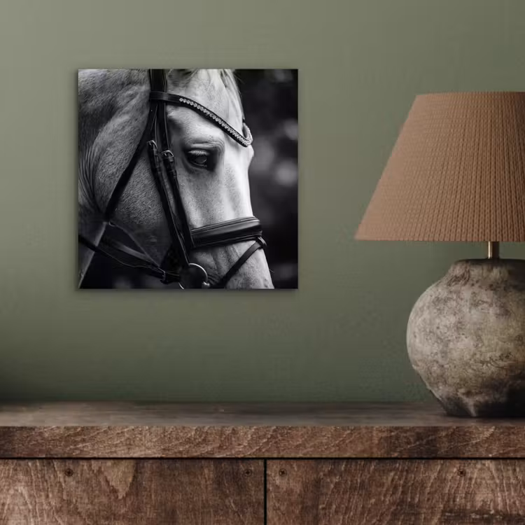 Aluminium schilderij - Paard - Schimmel - Portret — 3