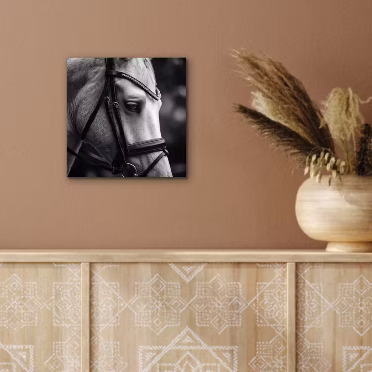 Aluminium schilderij - Paard - Schimmel - Portret — 5
