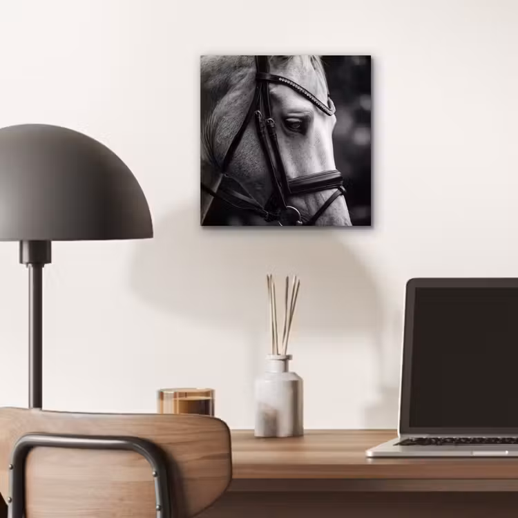 Aluminium schilderij - Paard - Schimmel - Portret — 6
