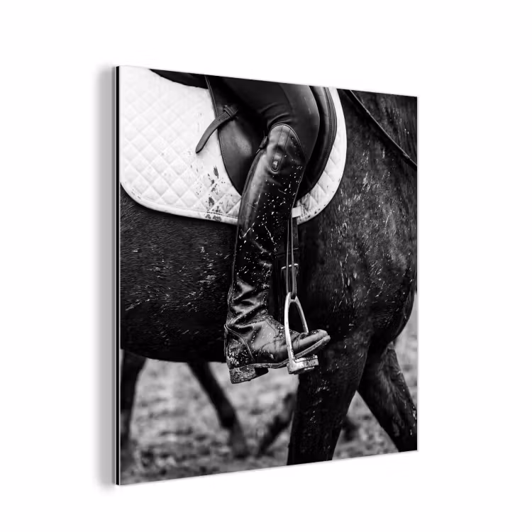 Aluminium schilderij - Paard - Sport - Zwart - Wit — 1