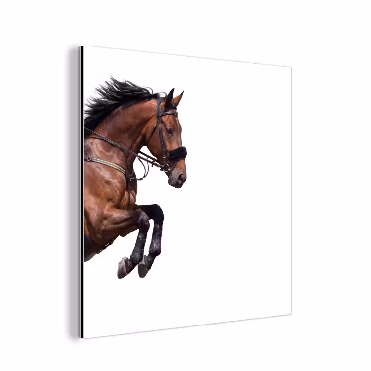 Aluminium schilderij - Paard - Springen - Modern — 1