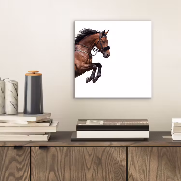 Aluminium schilderij - Paard - Springen - Modern — 2