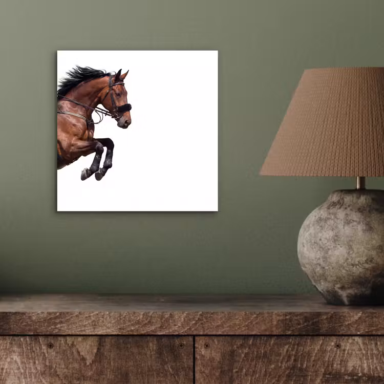 Aluminium schilderij - Paard - Springen - Modern — 3