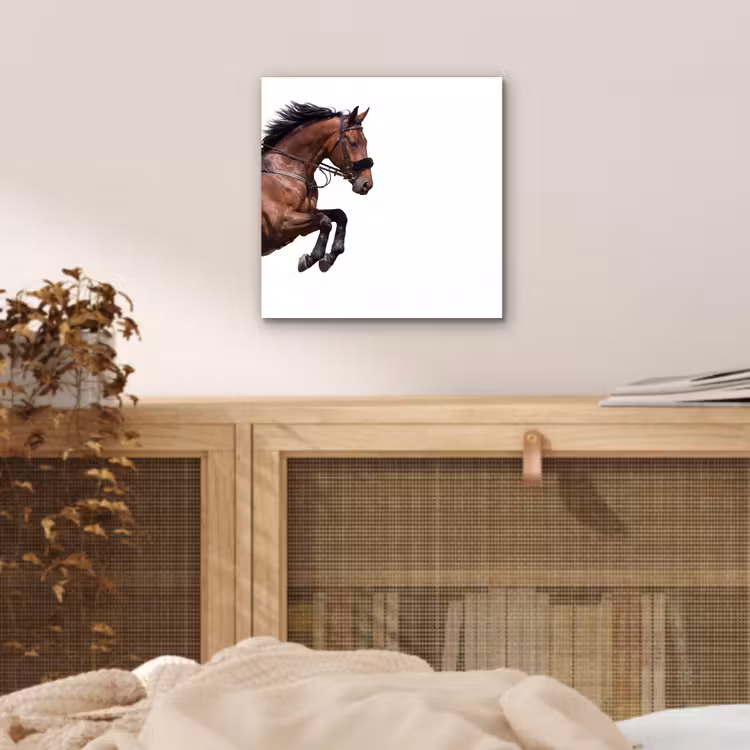 Aluminium schilderij - Paard - Springen - Modern — 4