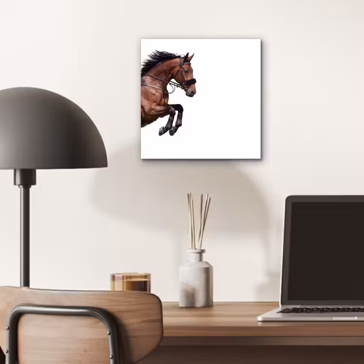 Aluminium schilderij - Paard - Springen - Modern — 6