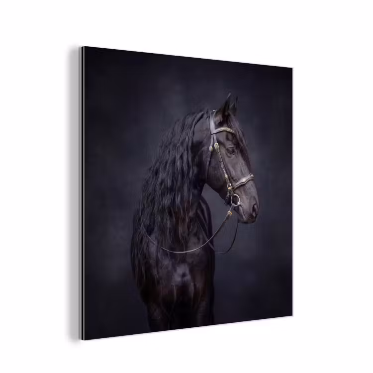Aluminium schilderij - Portret - Paard - Donker — 1