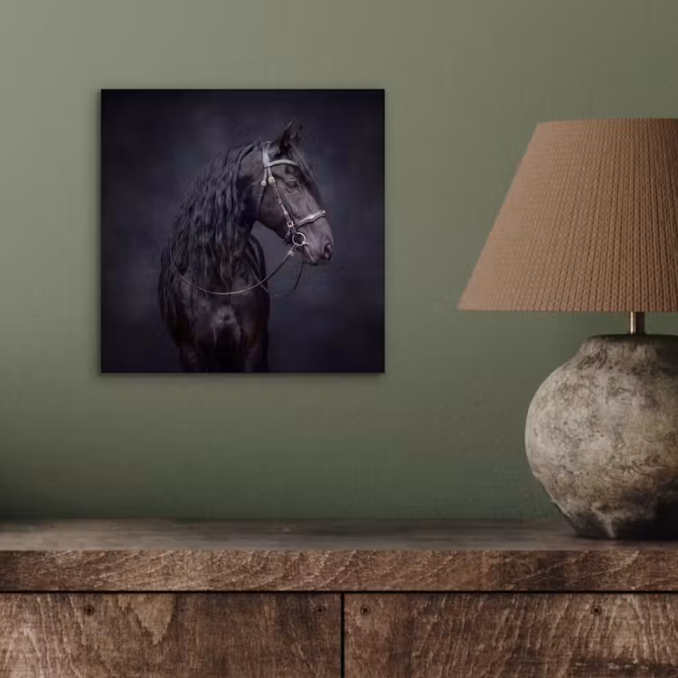 Aluminium schilderij - Portret - Paard - Donker — 3