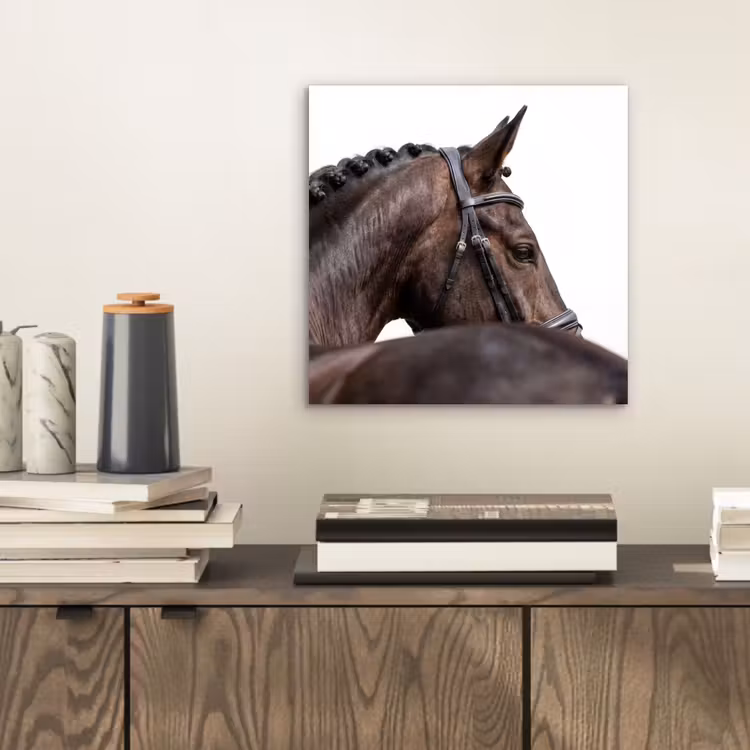 Aluminium schilderij - Portret - Paard - Elegant — 2