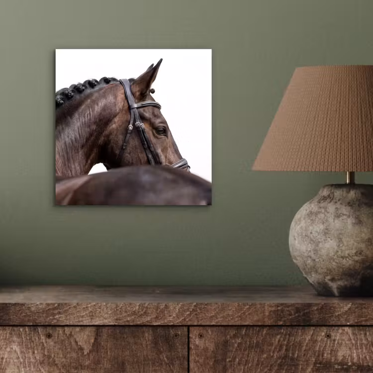 Aluminium schilderij - Portret - Paard - Elegant — 3