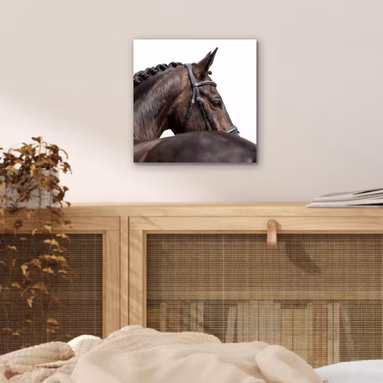 Aluminium schilderij - Portret - Paard - Elegant — 4