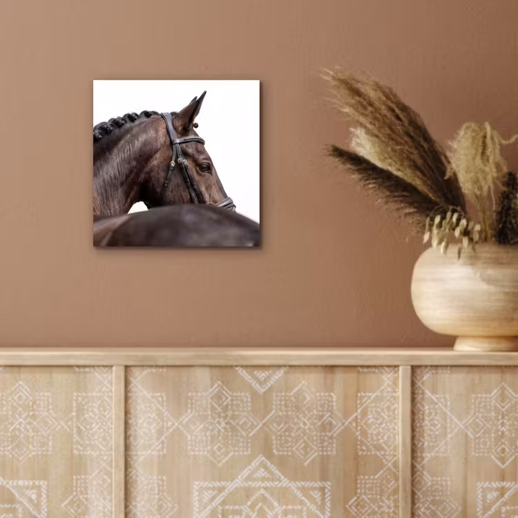 Aluminium schilderij - Portret - Paard - Elegant — 5