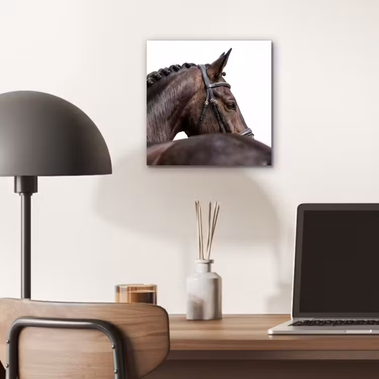 Aluminium schilderij - Portret - Paard - Elegant — 6