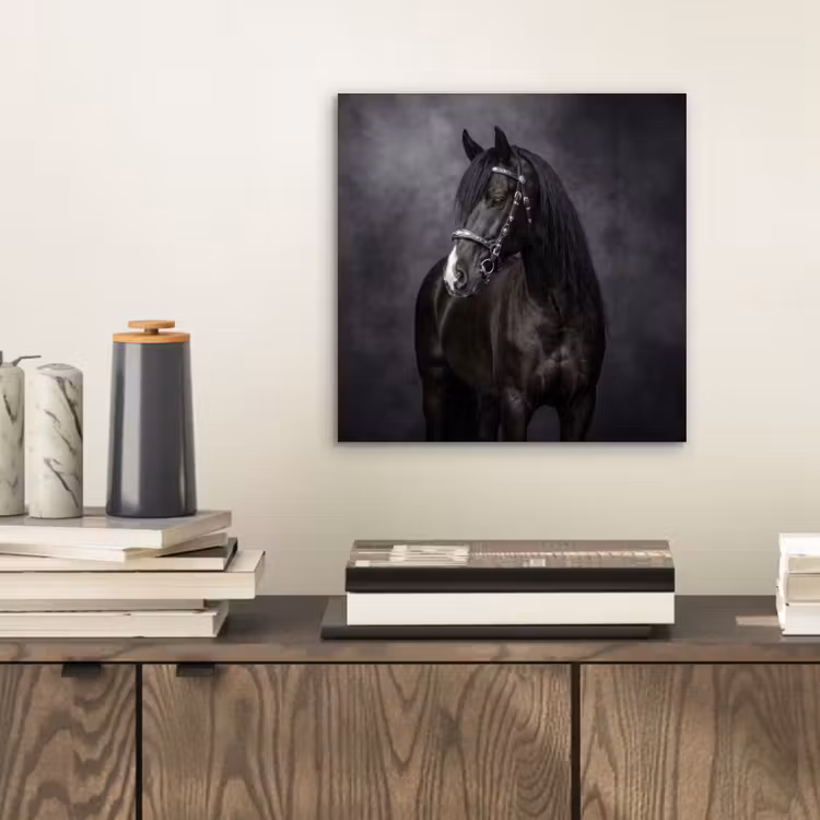 Aluminium schilderij - Portret - Paard - Zwart — 2
