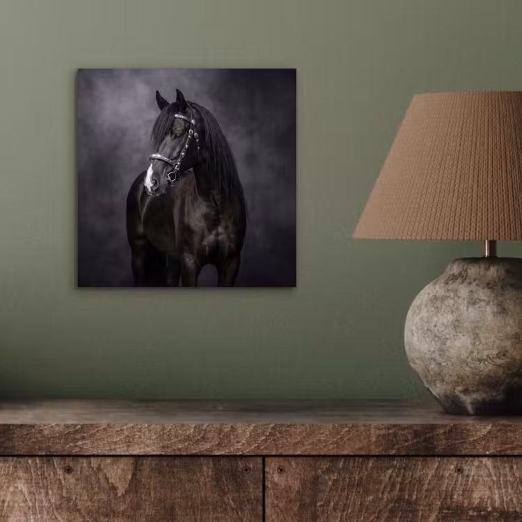 Aluminium schilderij - Portret - Paard - Zwart — 3