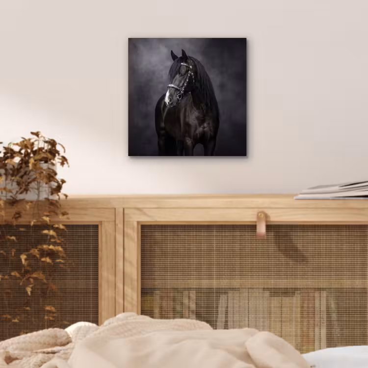 Aluminium schilderij - Portret - Paard - Zwart — 4