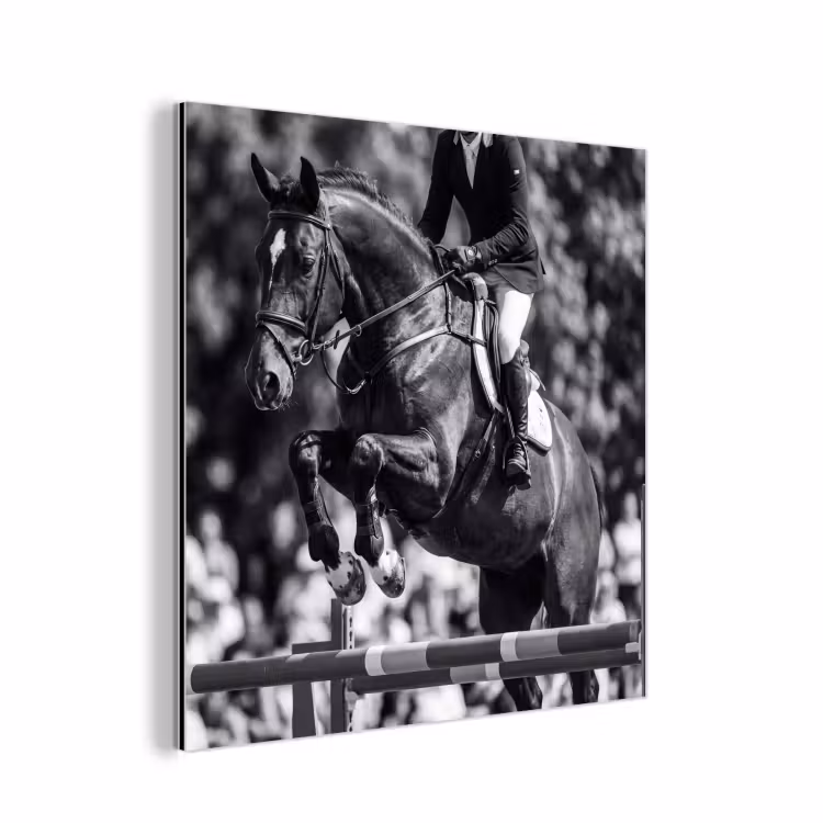 Aluminium schilderij - Springen - Paard - Zwart - Wit — 1