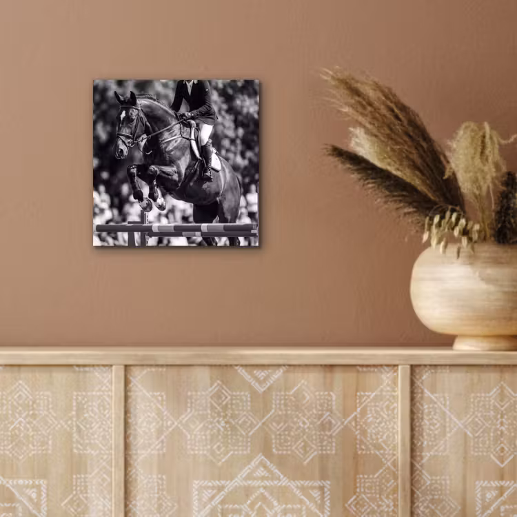 Aluminium schilderij - Springen - Paard - Zwart - Wit — 5
