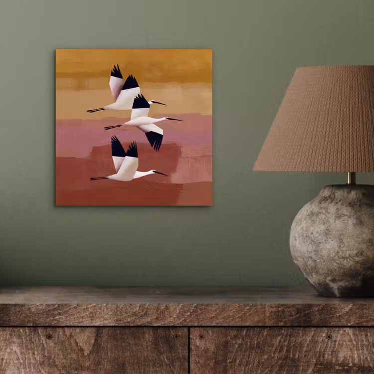 Aluminium schilderij - Vogels - Snavel - Abstract — 3