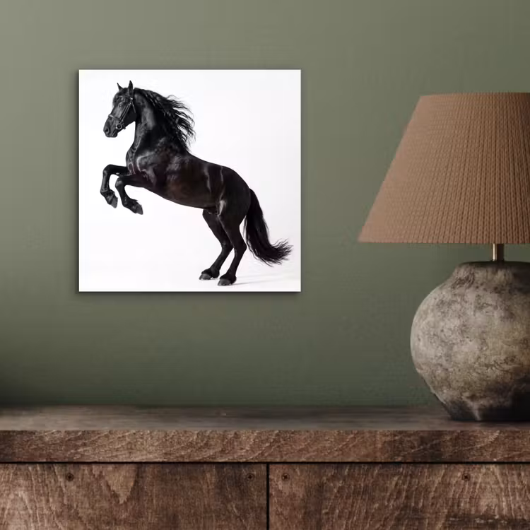 Aluminium schilderij - Zwart - Paard - Portret — 3