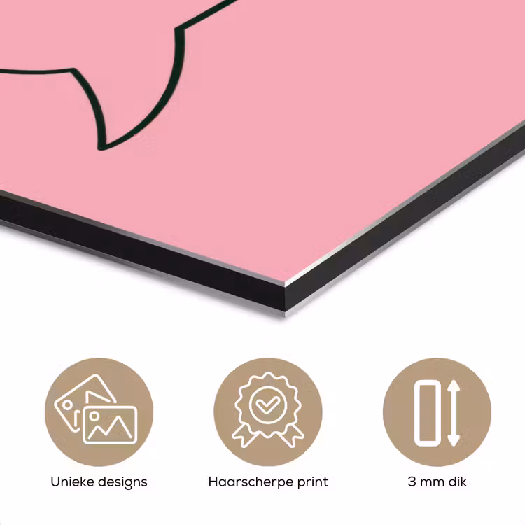 Aluminium schilderij - Tekstwolkje - BLAH BLAH BLAH - Roze — 7