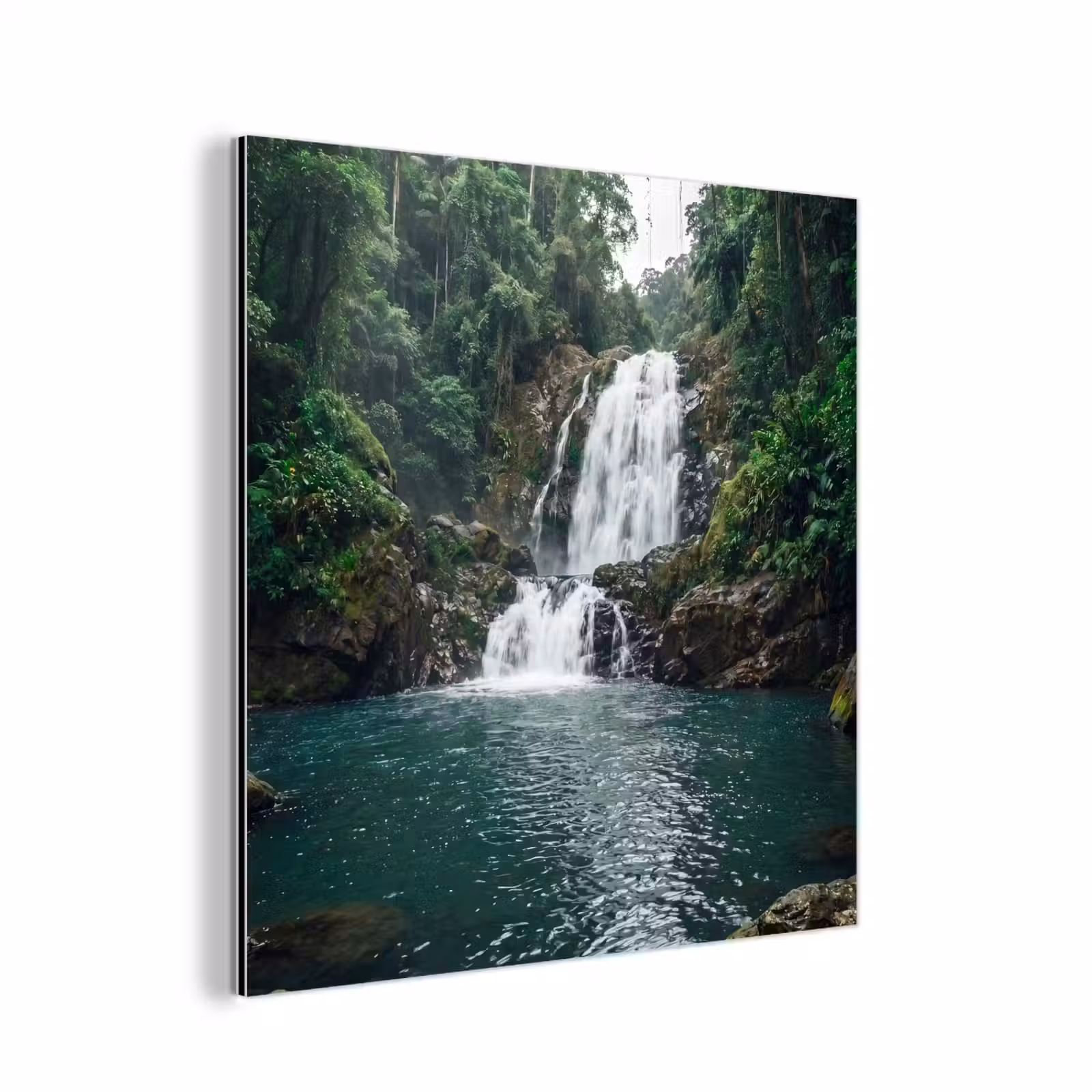 Aluminium schilderij - Waterfall - Forest - Nature - Greenkhgyguyg — 1