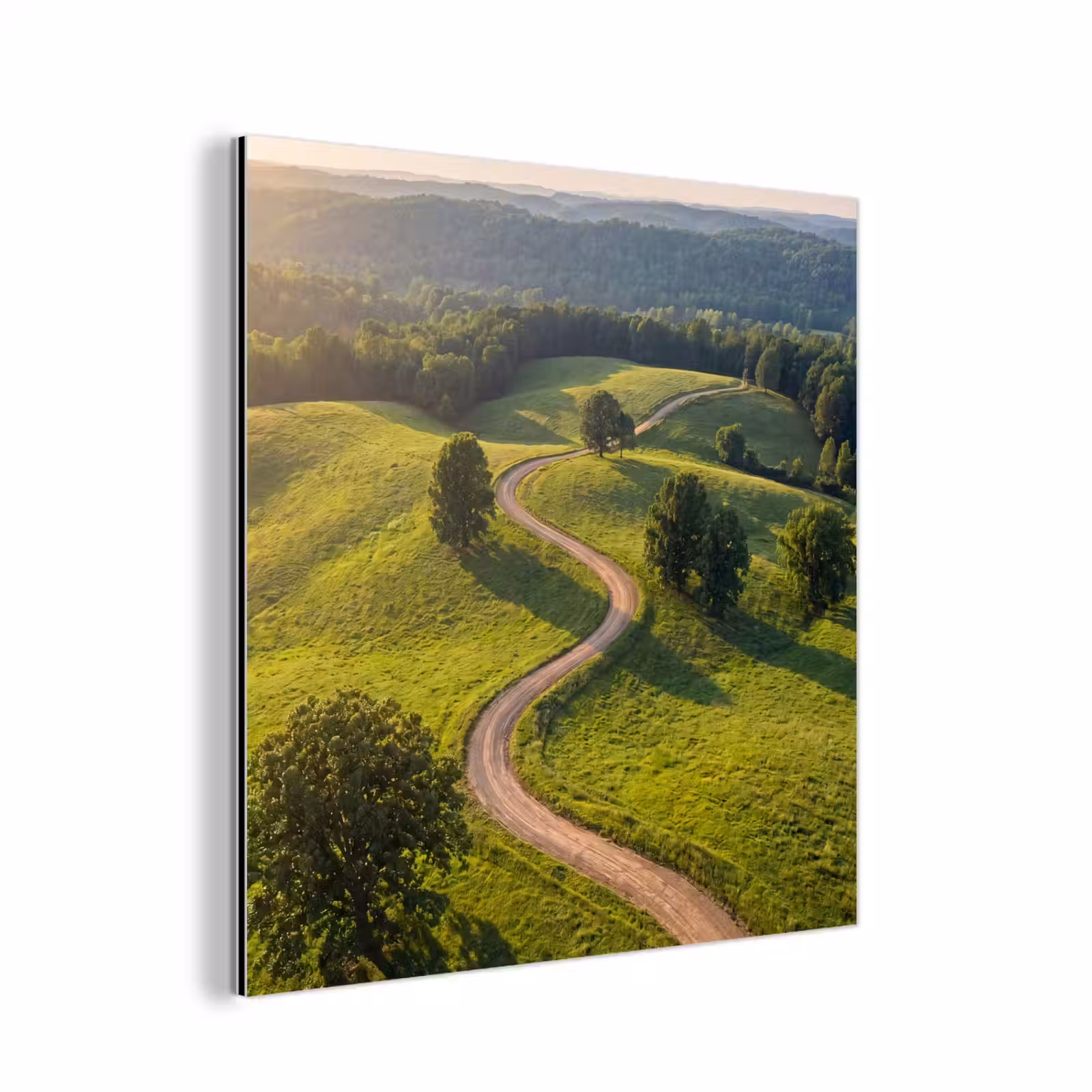 Aluminium schilderij - Weg - Weide - Natuur - Groen — 1