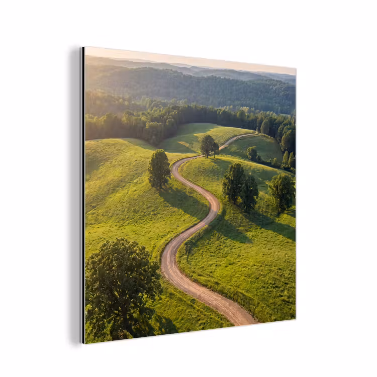 Aluminium schilderij - Weg - Weide - Natuur - Groen — 1