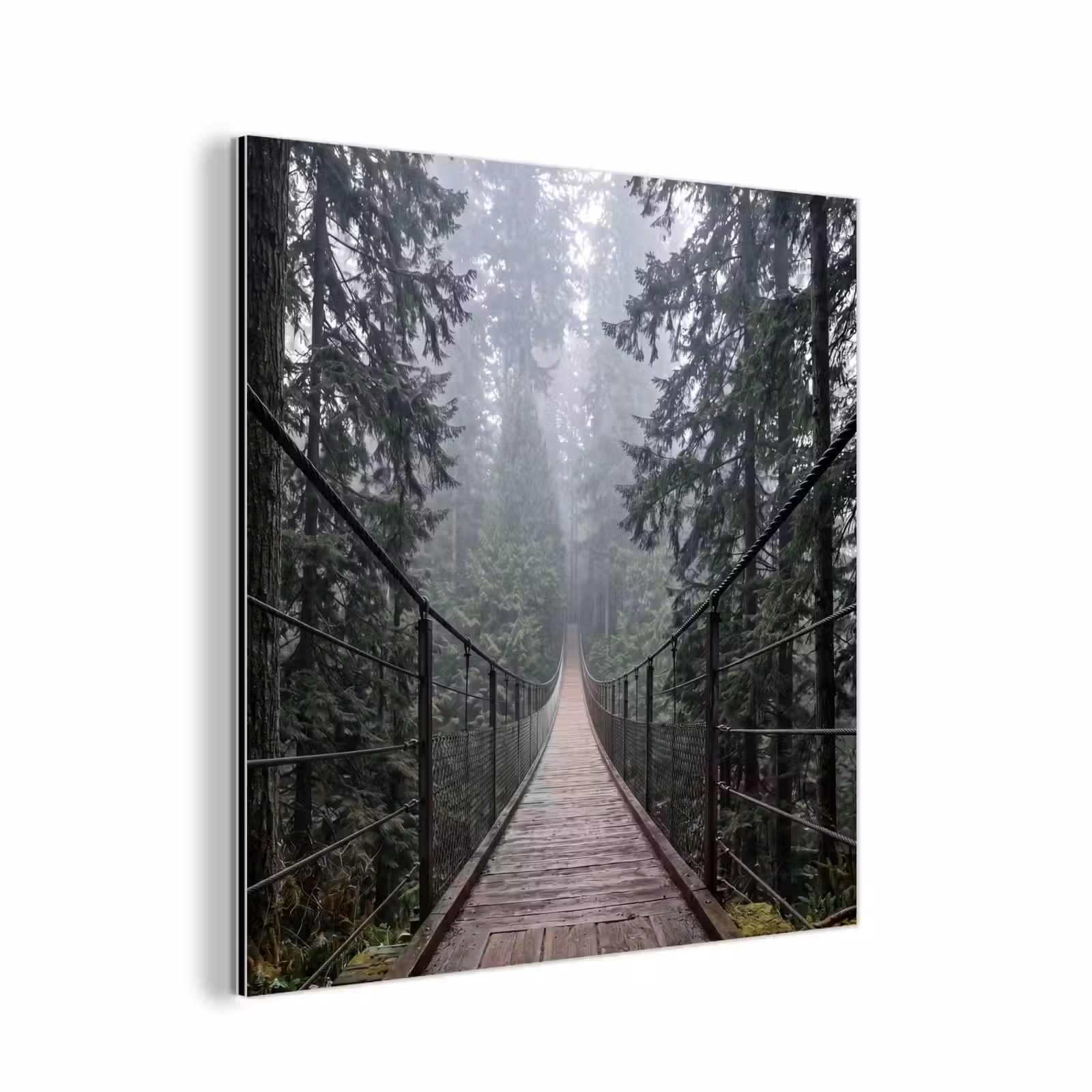 Aluminium schilderij - Brug - Bos - Mist - Natuur — 1
