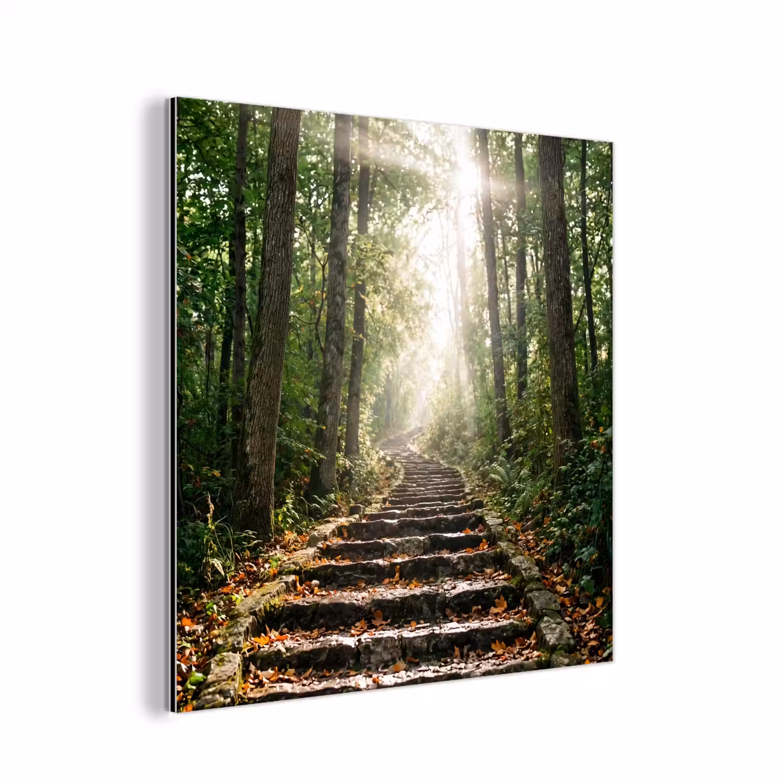 Aluminium schilderij - Stenen - Trap - Bos - Natuur — 1