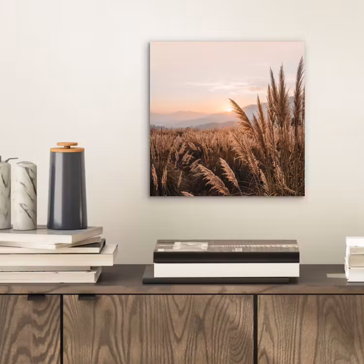 Aluminium schilderij - Gras - Veld - Zon - Natuur — 2