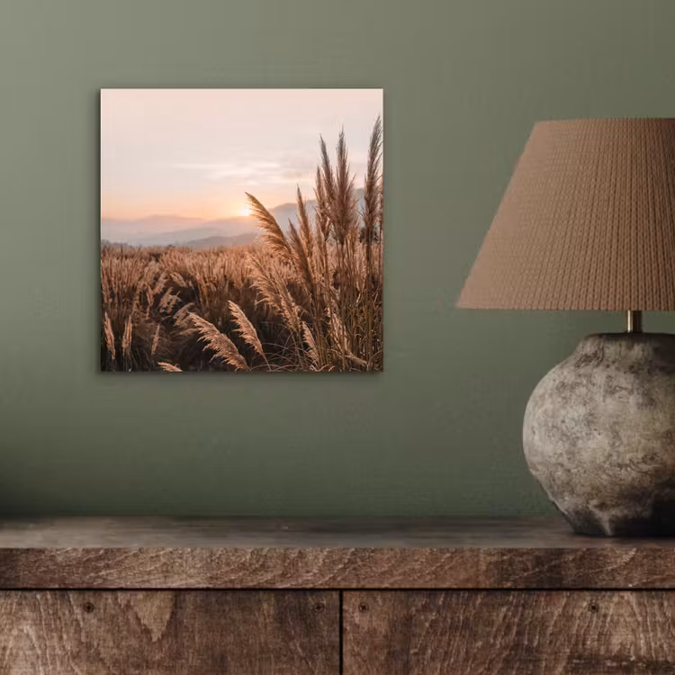 Aluminium schilderij - Gras - Veld - Zon - Natuur — 3