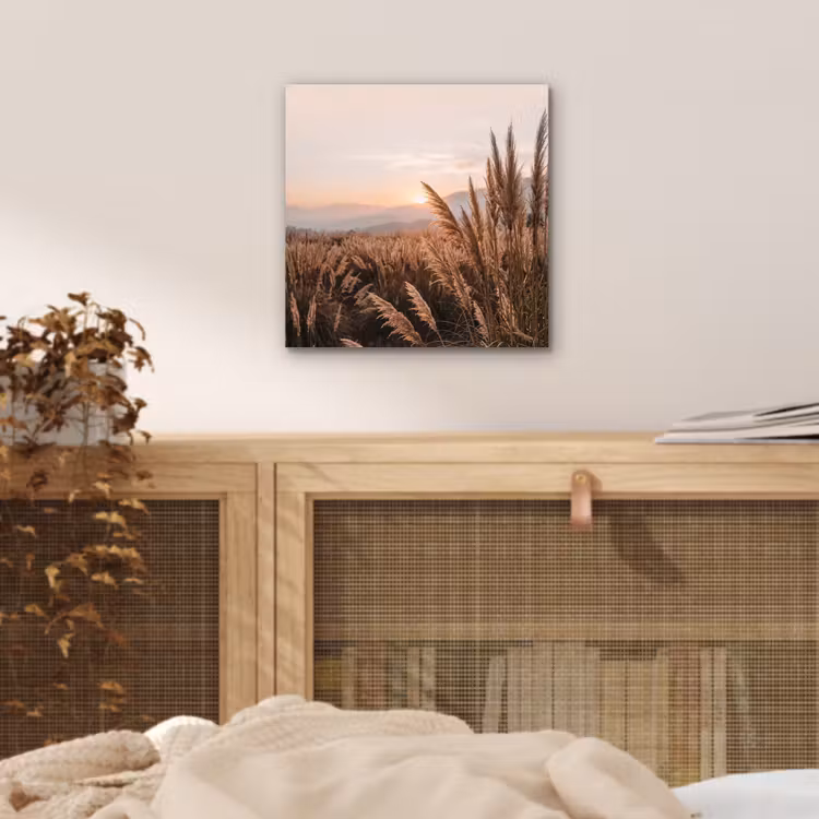 Aluminium schilderij - Gras - Veld - Zon - Natuur — 4
