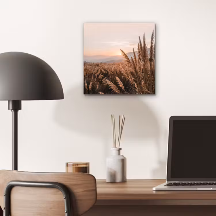 Aluminium schilderij - Gras - Veld - Zon - Natuur — 6