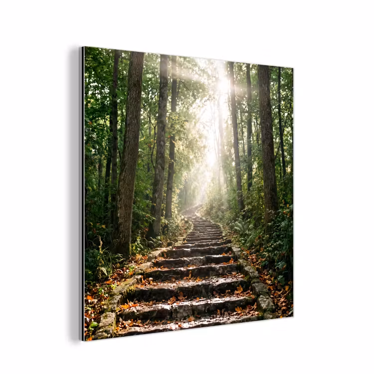 Aluminium schilderij - Stenen - Trap - Bos - Natuur — 1