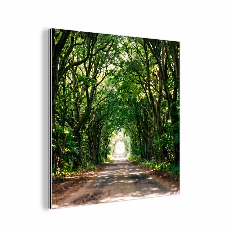 Aluminium schilderij - Weg - Bomen - Natuur - Groen — 1