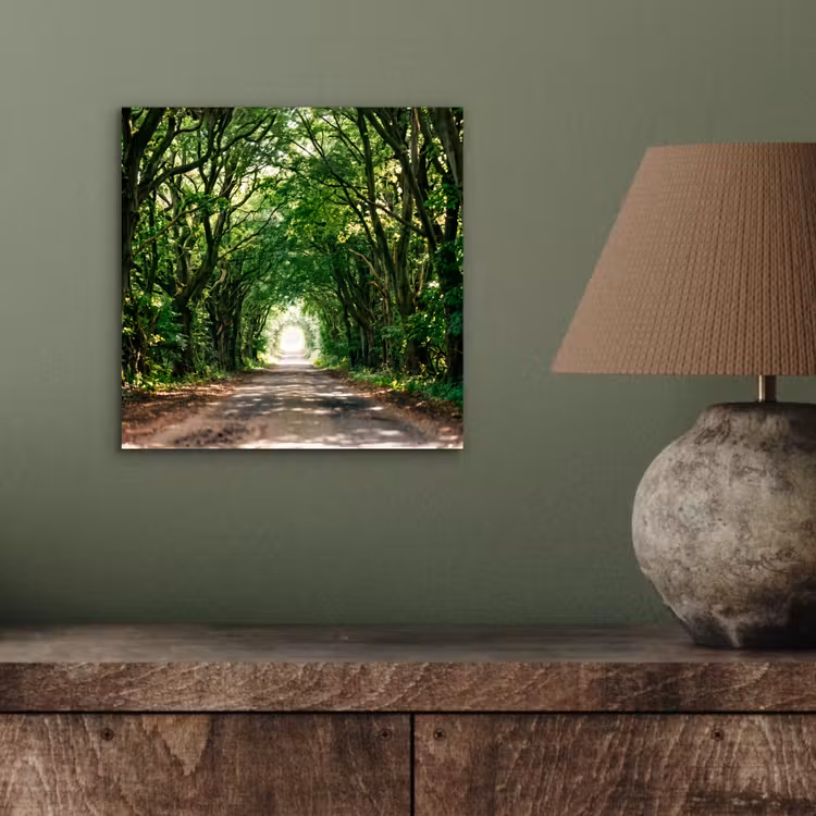 Aluminium schilderij - Weg - Bomen - Natuur - Groen — 3