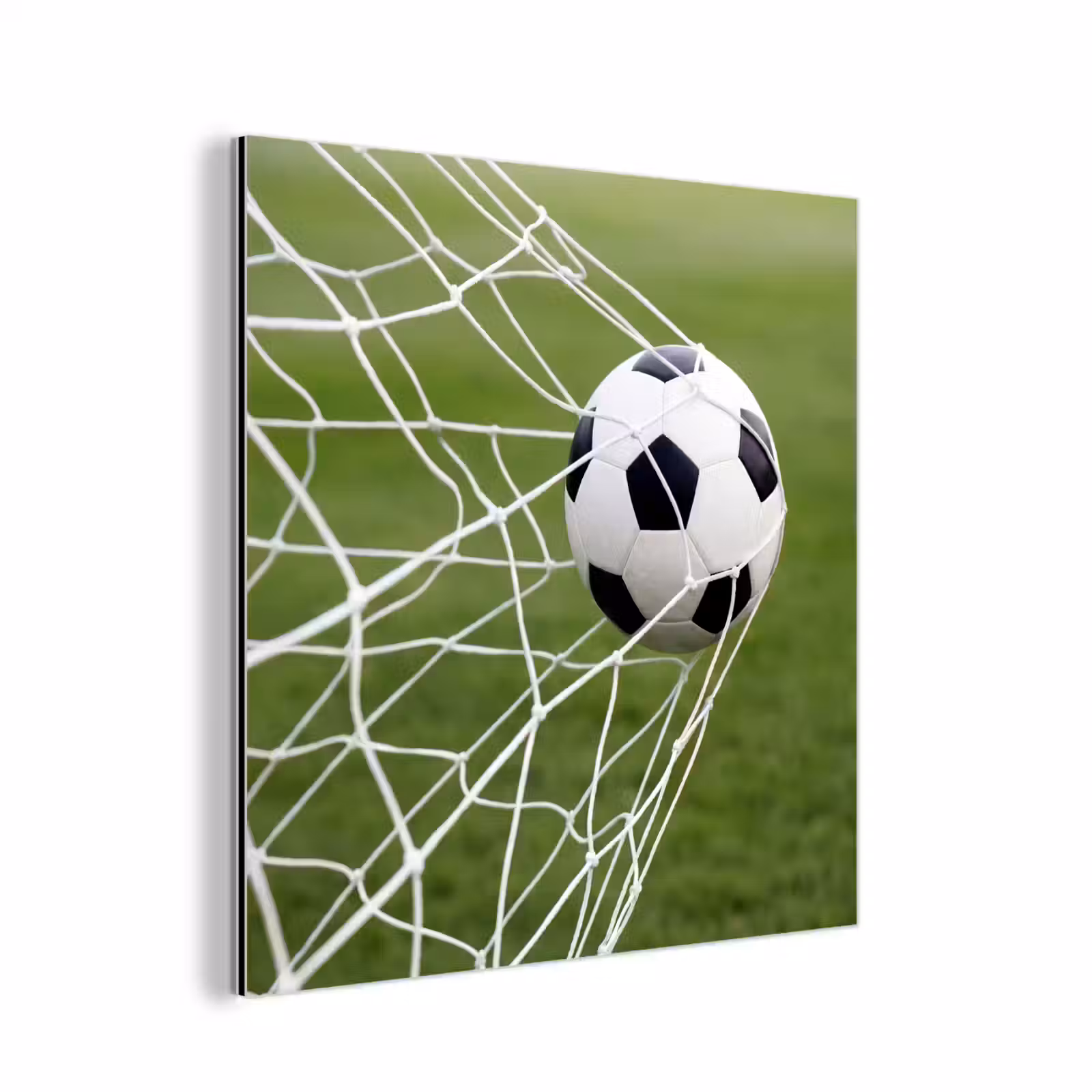 Aluminium schilderij - Voetbal - Goal - Net - Sport — 1